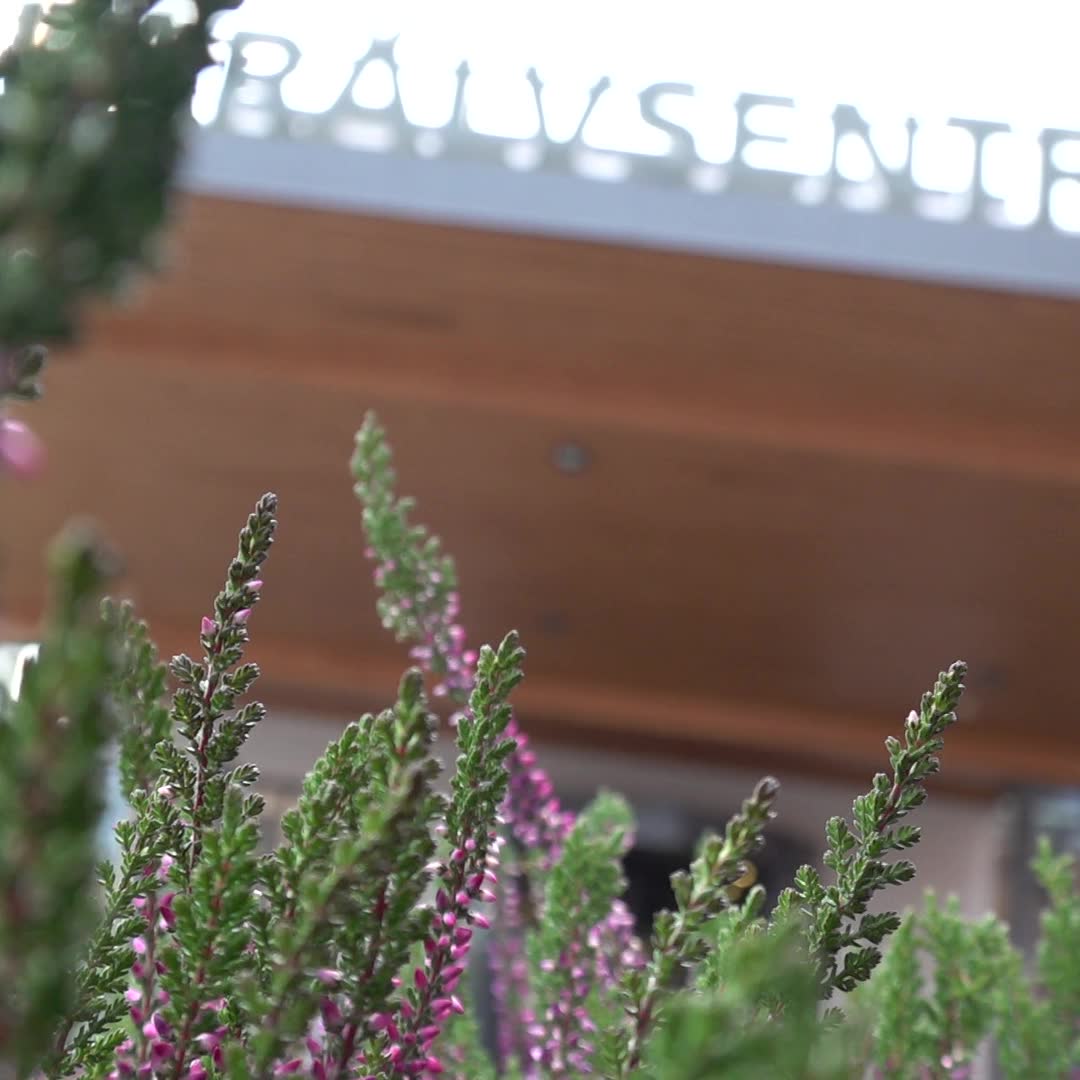 Flera dödsfall i vården kopplas till personal- och vårdsplatsbrister – så svarar Region Värmland